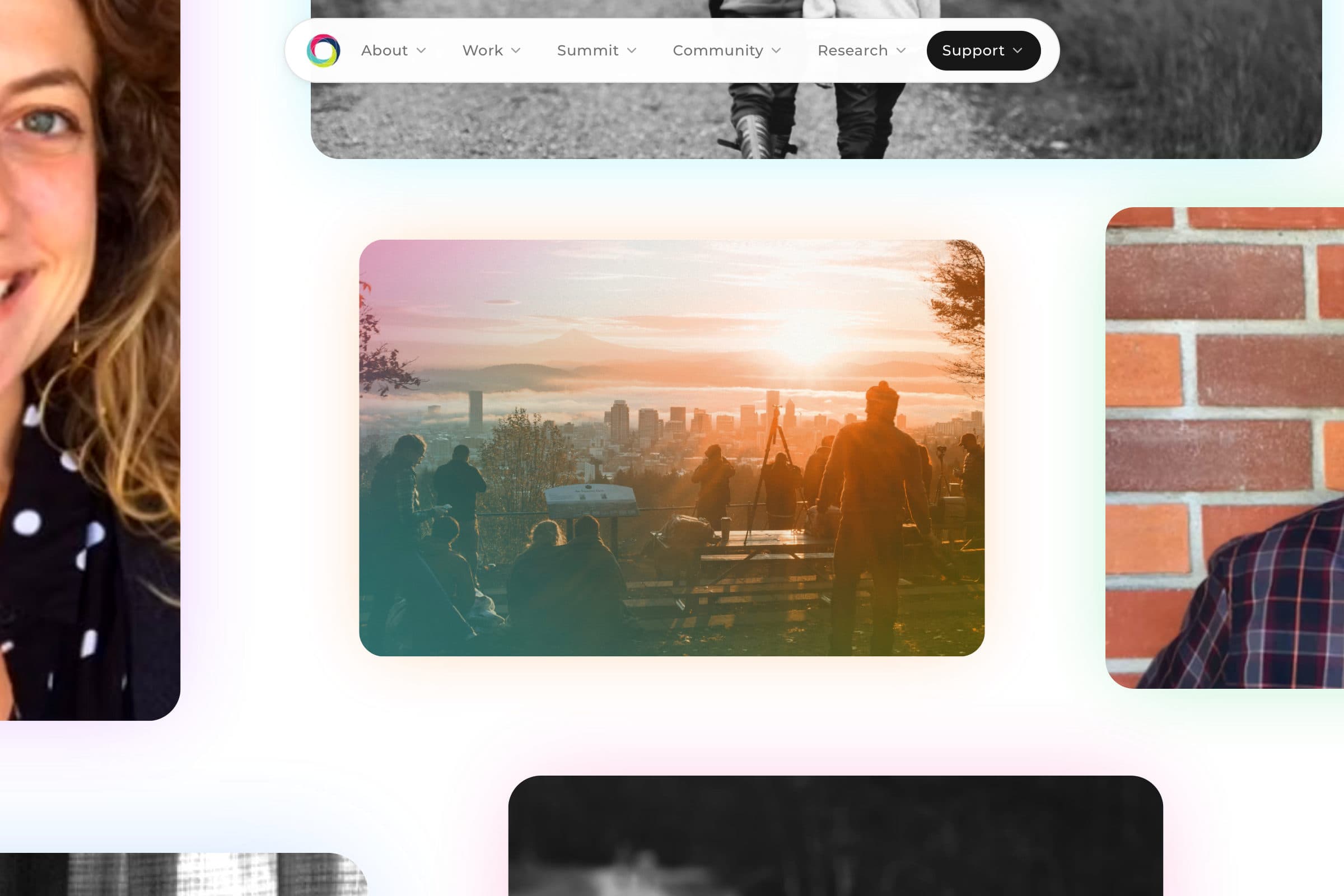 Whole Human Project photography sections