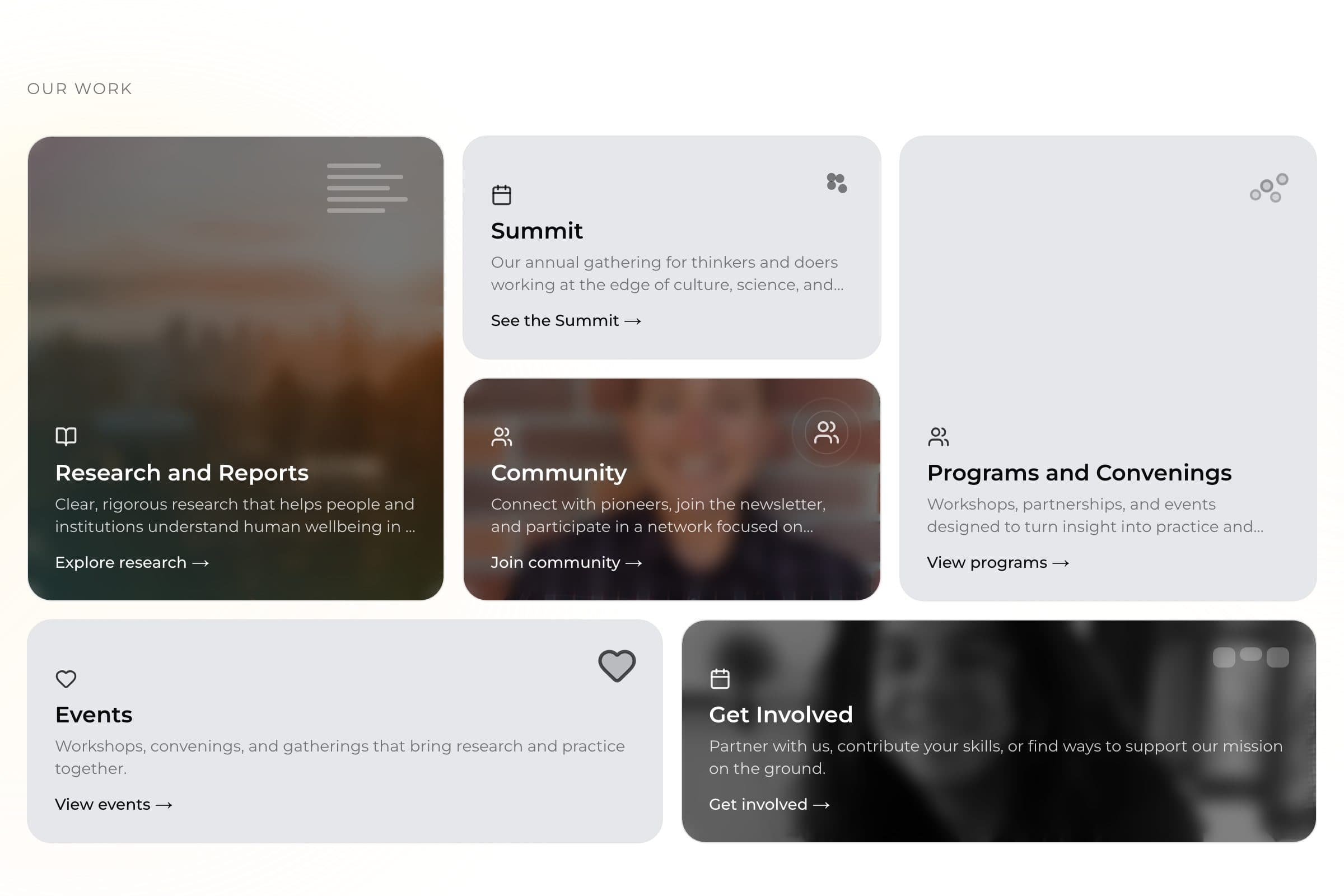 Whole Human Project pillars: research, summit, community, programs
